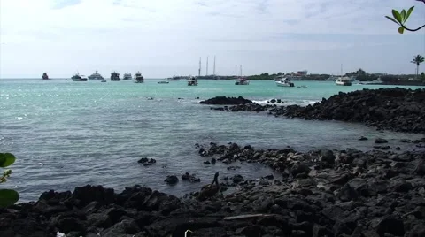 Rock Beach and Sea (FULL HD 1080) Stock Footage 1068267