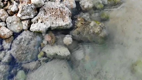 Rock Beach and waves - Recorded with drone Stock Footage