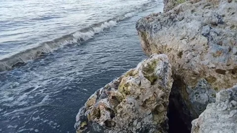 Rock of beach Stock Footage 229461412