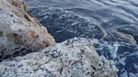 Rock of beach Stock Footage 229461447