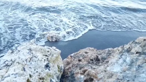 Rock of beach Stock Footage 229461495