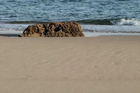 Rock on the beach Stock Photos