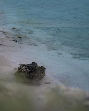 A rock in the beach Stock Photos