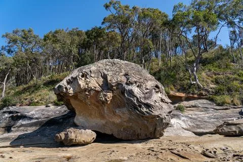 Rock with beautiful patterns and trees with a blue sky in the background. Stock Photos