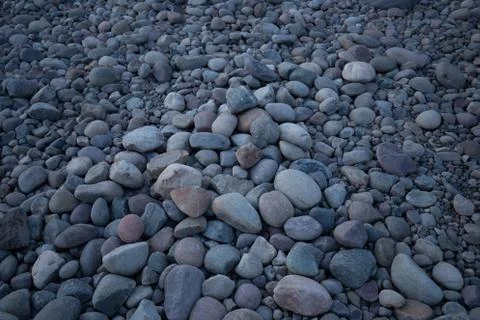 Rock bed pebbles pattern on beach Stock Photos