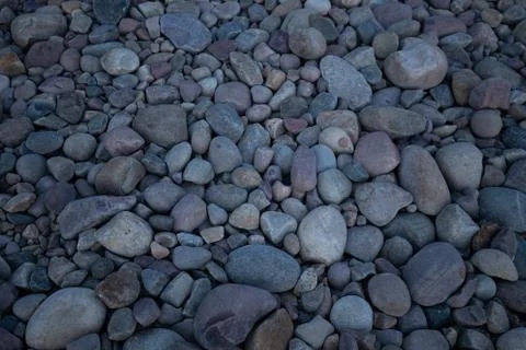 Rock bed pebbles pattern on beach Stock Photos
