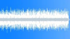 Rock Bizarre No 09 Bright Guitar Funk Rock 338 C 110 bpmStock Music