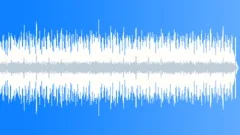 Rock Bizarre No 12 Bright Guitar Funk Rock 338 D 110 bpmStock Music
