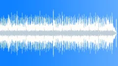 Rock Bizarre No 14 Bright Guitar Funk Rock 228 E 110 bpmStock Music