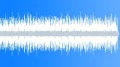 Rock Bizarre No 15 Bright Guitar Funk Rock 338 E 110 bpmStock Music
