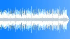 Rock Bizarre No 17 Bright Guitar Funk Rock 228 F 110 bpmStock Music