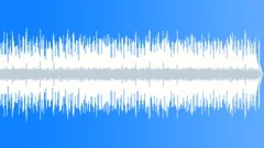 Rock Bizarre No 18 Bright Guitar Funk Rock 338 F 110 bpmStock Music