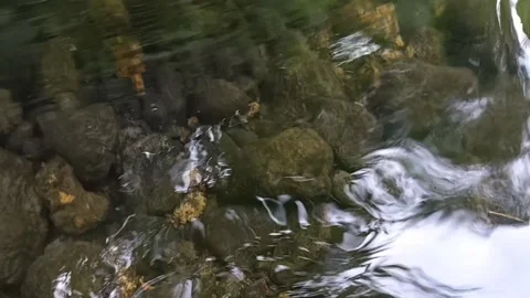 Rock at the bottom of the river Stock Footage 206011251