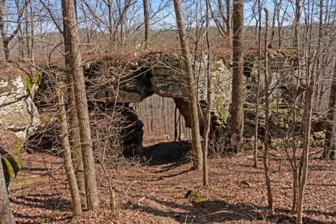 Rock Bridge in the Forest Stockfoto's