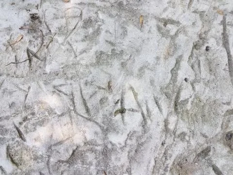Rock with carvings Stock Photos