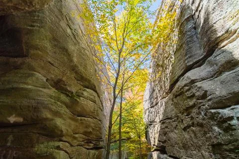 Rock city park, olean , NY, fall season forest, gigantic rock formations Stock Photos