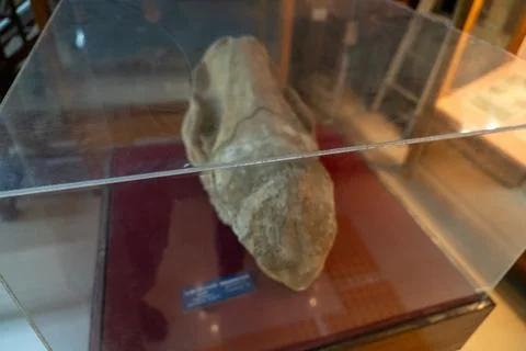 A rock is in a clear case on a red background. in Chennai Fotos Stock