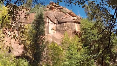 Rock Cliff Face Tilt-Pan to West Fork Creek- Sedona Arizona Stockbeeldmateriaal 312359526