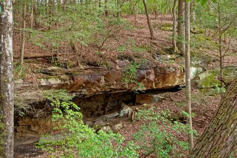Rock cliff in a forest Stock Photos