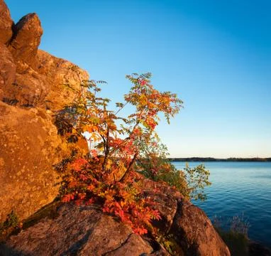 Rock cliff in sunset light Stock Photos