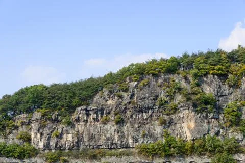 Rock cliff with trees Stock Photos