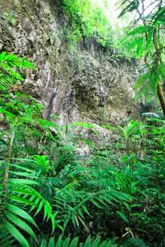 Rock cliffs in the jungle in Belize Stock Photos