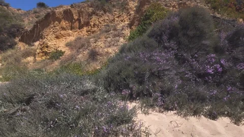 Rock Cliffs at Oura Beach Albufeira Portugal summer holiday Stock Footage 310270455
