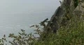 Rock climber HD Footage