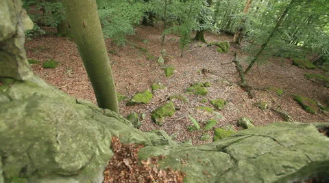 Rock Climbing 库存影片 26232386