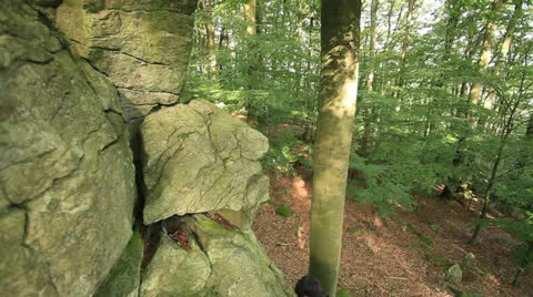 Rock Climbing 库存影片 26235385