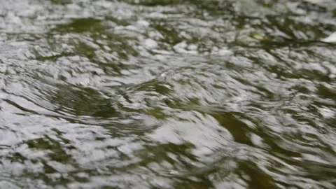 Rock climbing Stock Footage 139031489