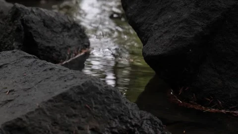 Rock closeup in river stream nature handheld Vídeo Stock 291909534