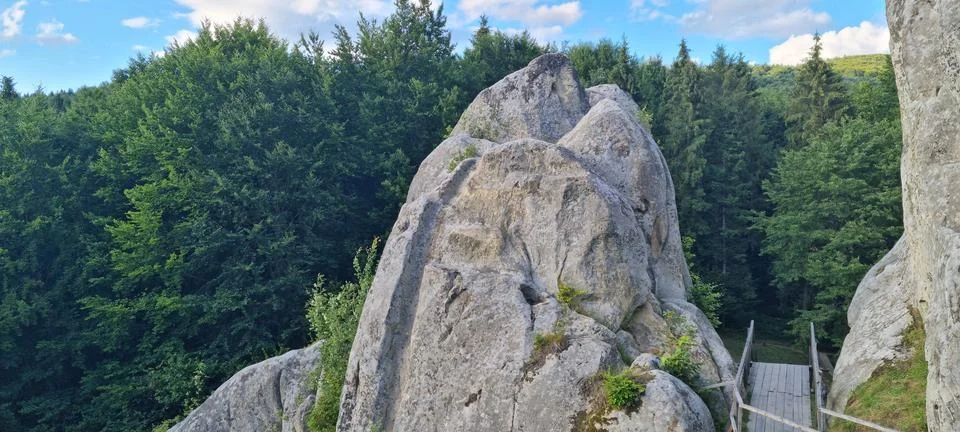 Rock complex surrounded by dense green pine forest valley Stock Photos