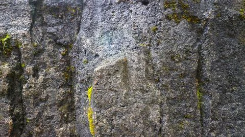 Rock-like concrete texture as a background Photos