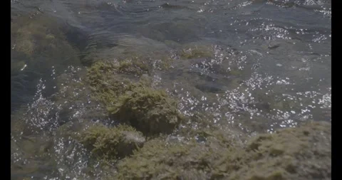 Rock Covered with Green Moss in Waves — Ungraded LOG (120fps) Stock Footage 320106216