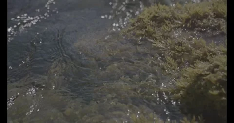 Rock Covered with Green Moss in Waves — Ungraded LOG (120fps) Stock Footage 320106228