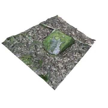 Rock Covered in Moss 3D Model