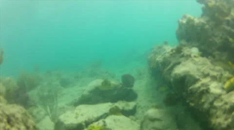 Rock crawl with sealife B Stock Footage 24340358