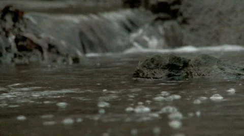 Rock-in-creek Stock Footage