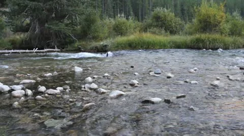 Rock creek Stock Footage 12346120