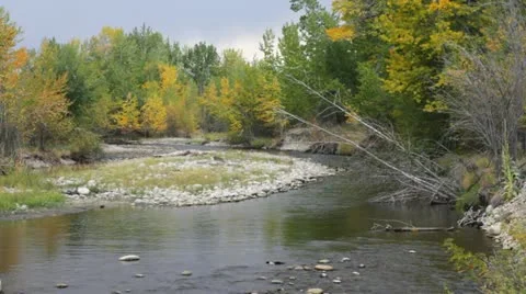 Rock creek Video stock 12346258