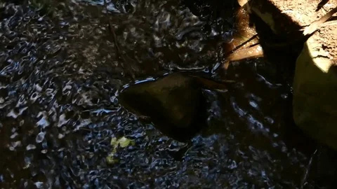 Rock Creek Stock Footage 114804796