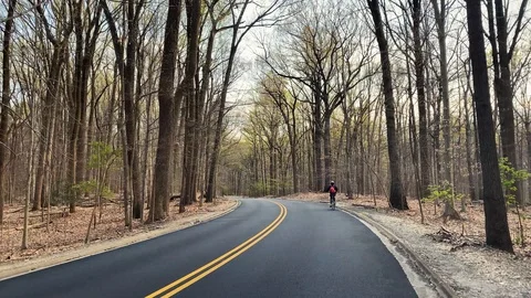 Rock Creek Park Stock-Footage 128134841