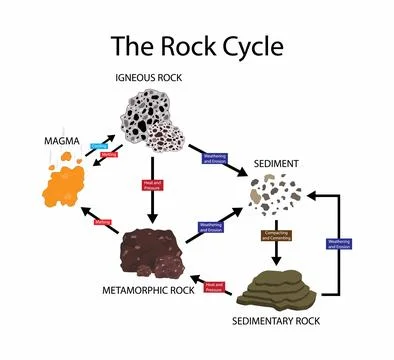 The Rock cycle, three main rock types sedimentary, rock change a geologic cycle Illustrazione stock