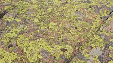 Rock in Dolomites. Stock-Footage 332604156