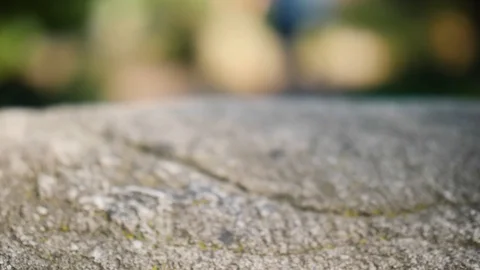 Rock face close up in a Park Stock-Footage 90796940