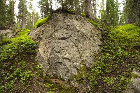 Rock Face Framed by Forest Stock Photos