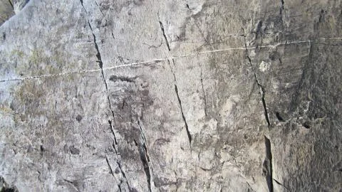 Rock Face 스톡 사진