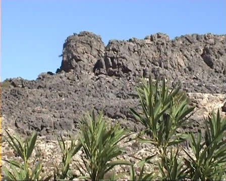 Rock face with plants in foreground Stock Footage 22570838