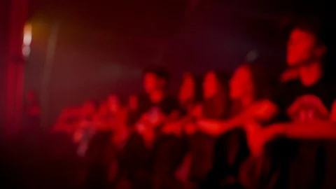 Rock fans in front row dancing and having fun Stock Footage 106329210